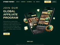 Optimiser Partners Website Preview