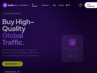 Trafficbets Website Preview
