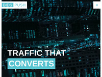 BidsPush Website Preview