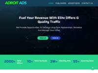 Adroit Ads Website Preview