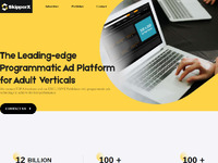 SkipperX Website Preview