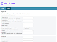Vibe Partners Website Preview