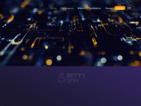 WinHub Partners Website Preview