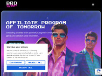 Bro Partners Website Preview
